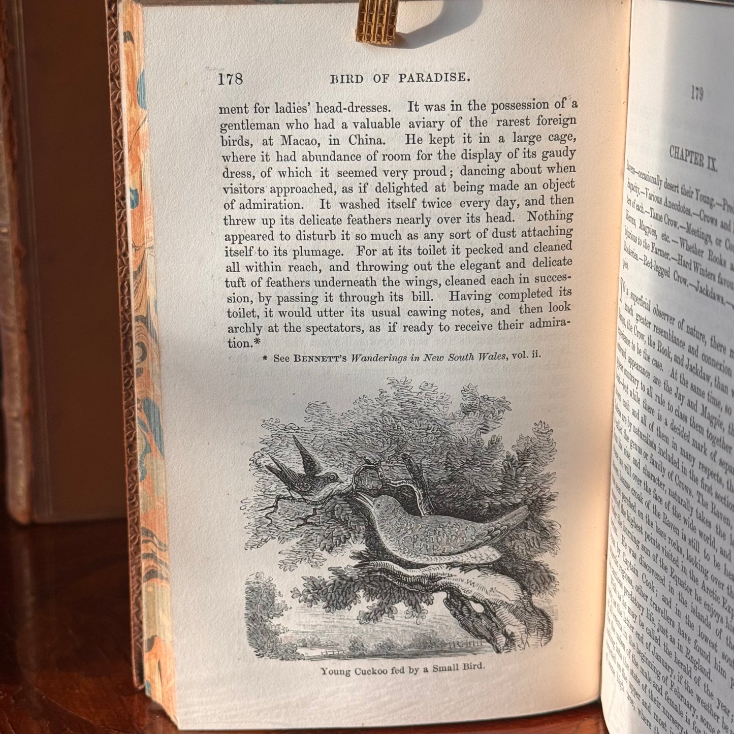 1864 A Familiar History of Birds by Edward Stanley Fine Leather Binding