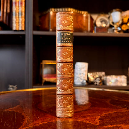 1864 A Familiar History of Birds by Edward Stanley Fine Leather Binding