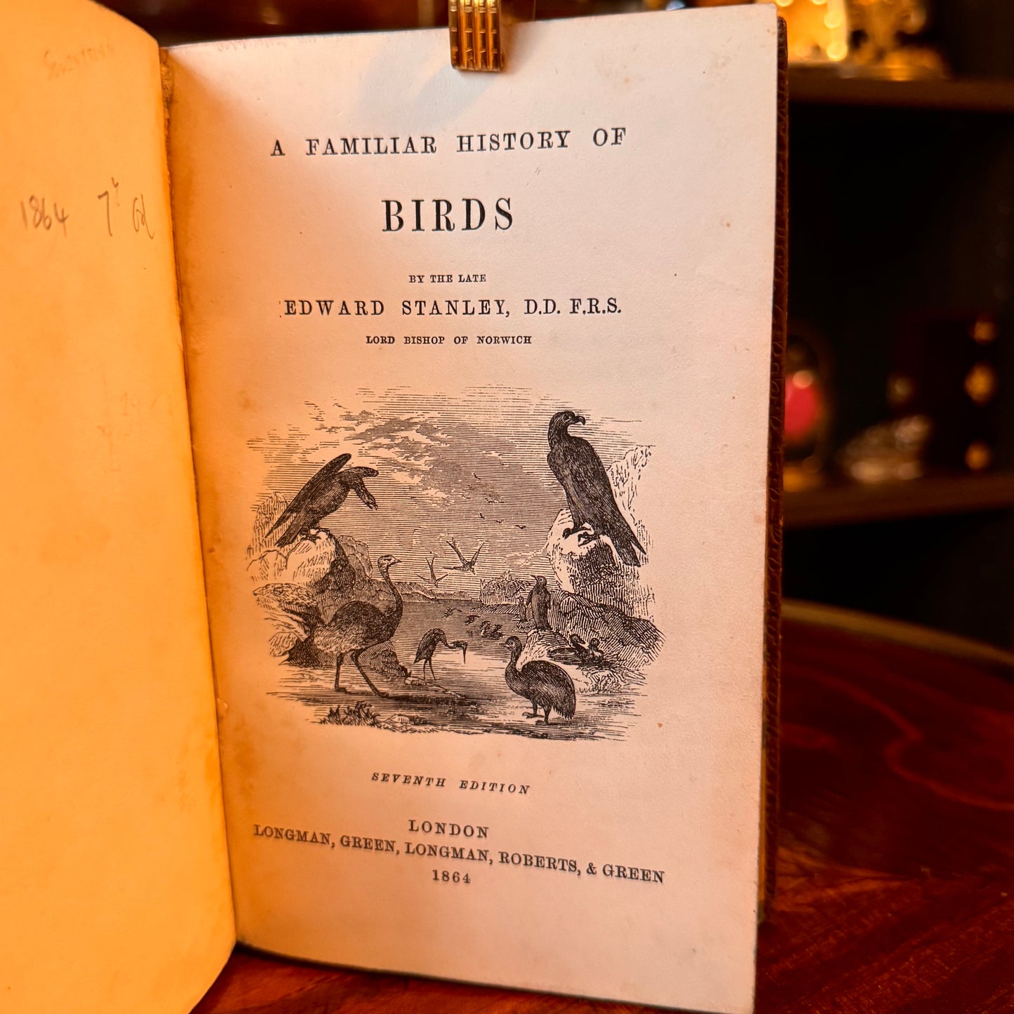 1864 A Familiar History of Birds by Edward Stanley Fine Leather Binding