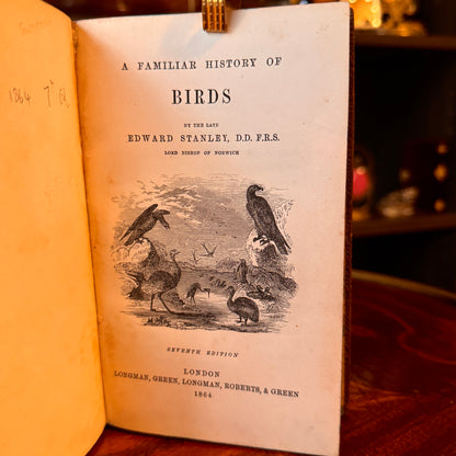 1864 A Familiar History of Birds by Edward Stanley Fine Leather Binding