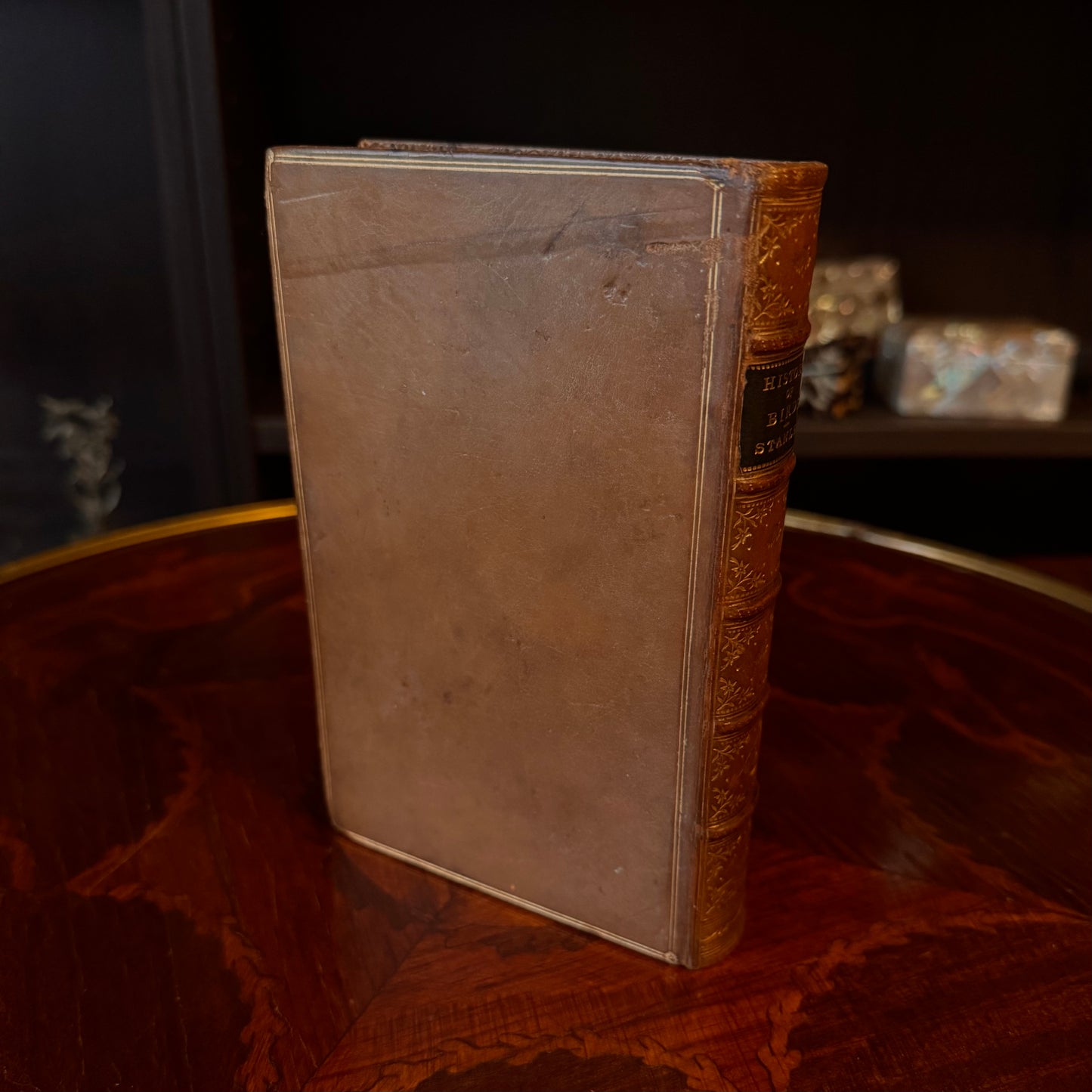 1864 A Familiar History of Birds by Edward Stanley Fine Leather Binding