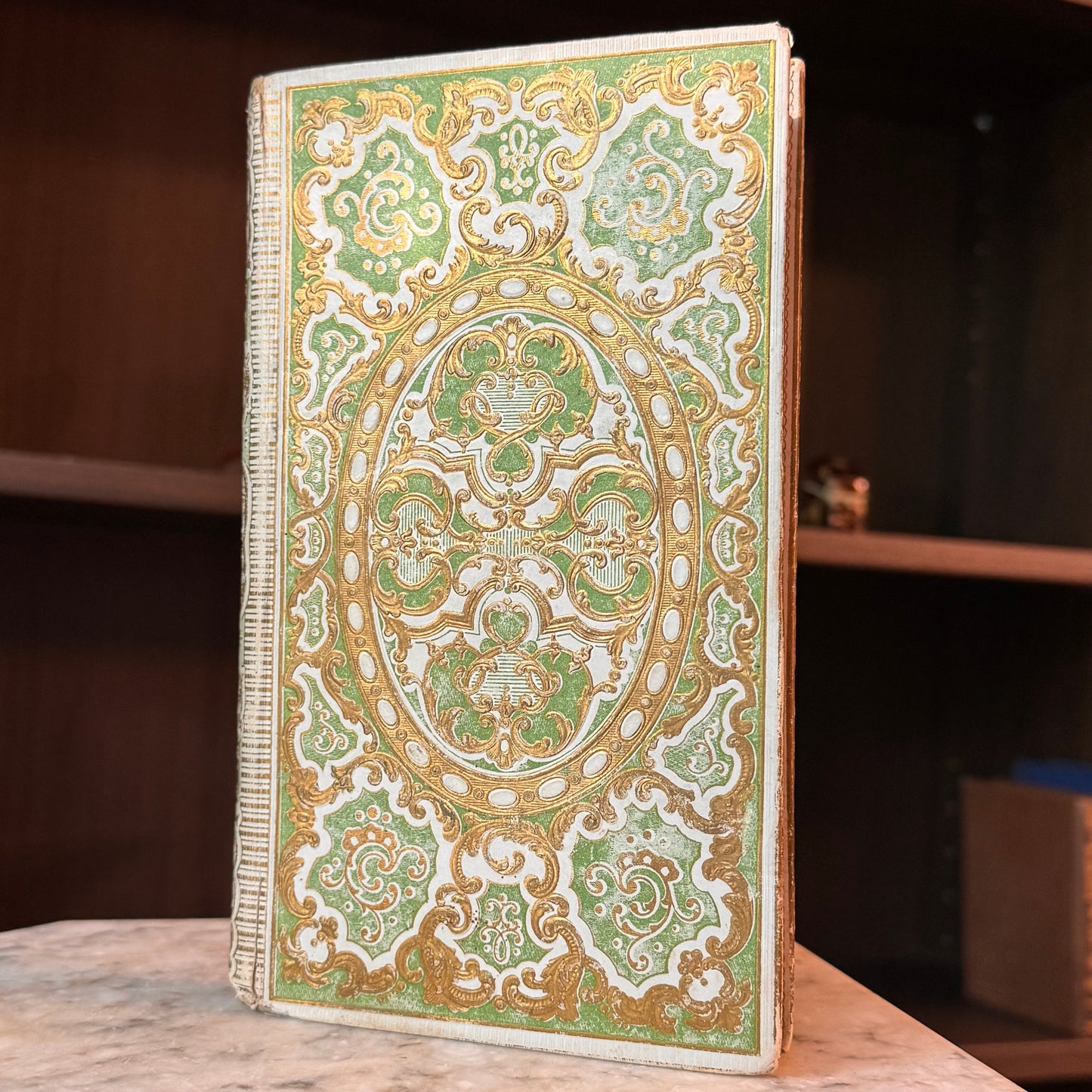 1850 French Cartonnage Binding – Voyages Around the World (Translated from French)