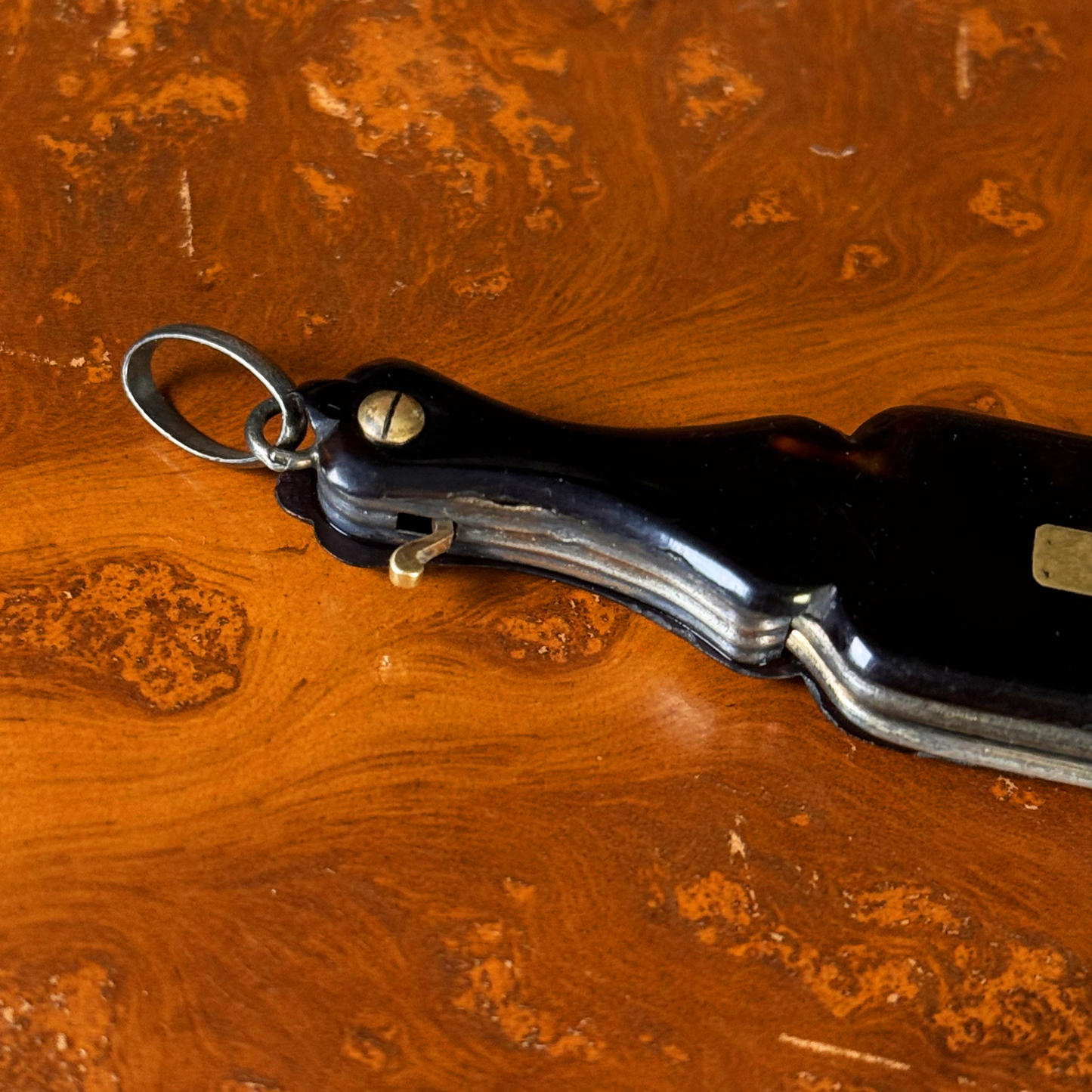 An antique folding lorgnette and spectacles shown folded with a tortoiseshell handle, gold plaque, and silver colored frames, resting on a leather book, close-up of tab