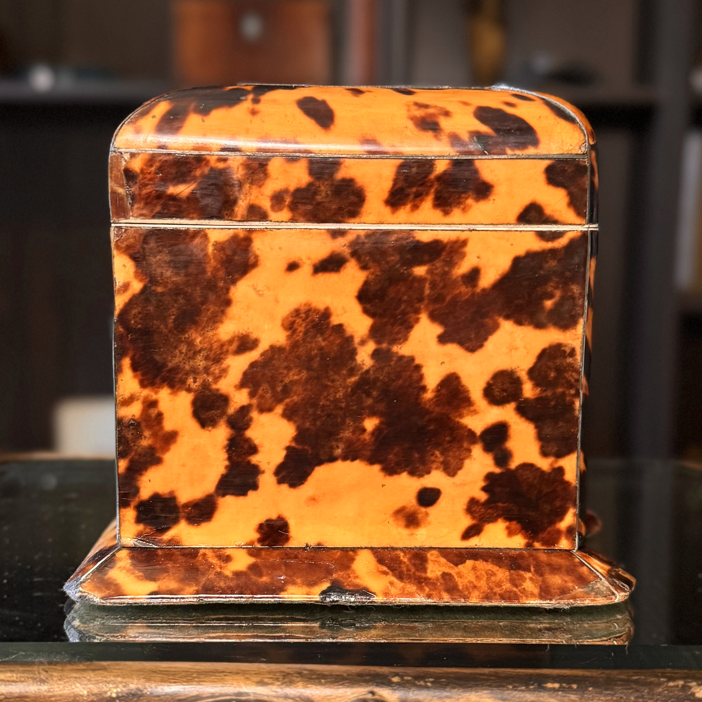 Tortoiseshell box on a dark surface with a blurred background