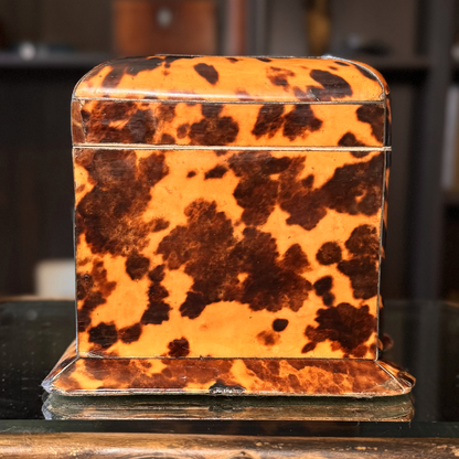 Tortoiseshell box on a dark surface with a blurred background