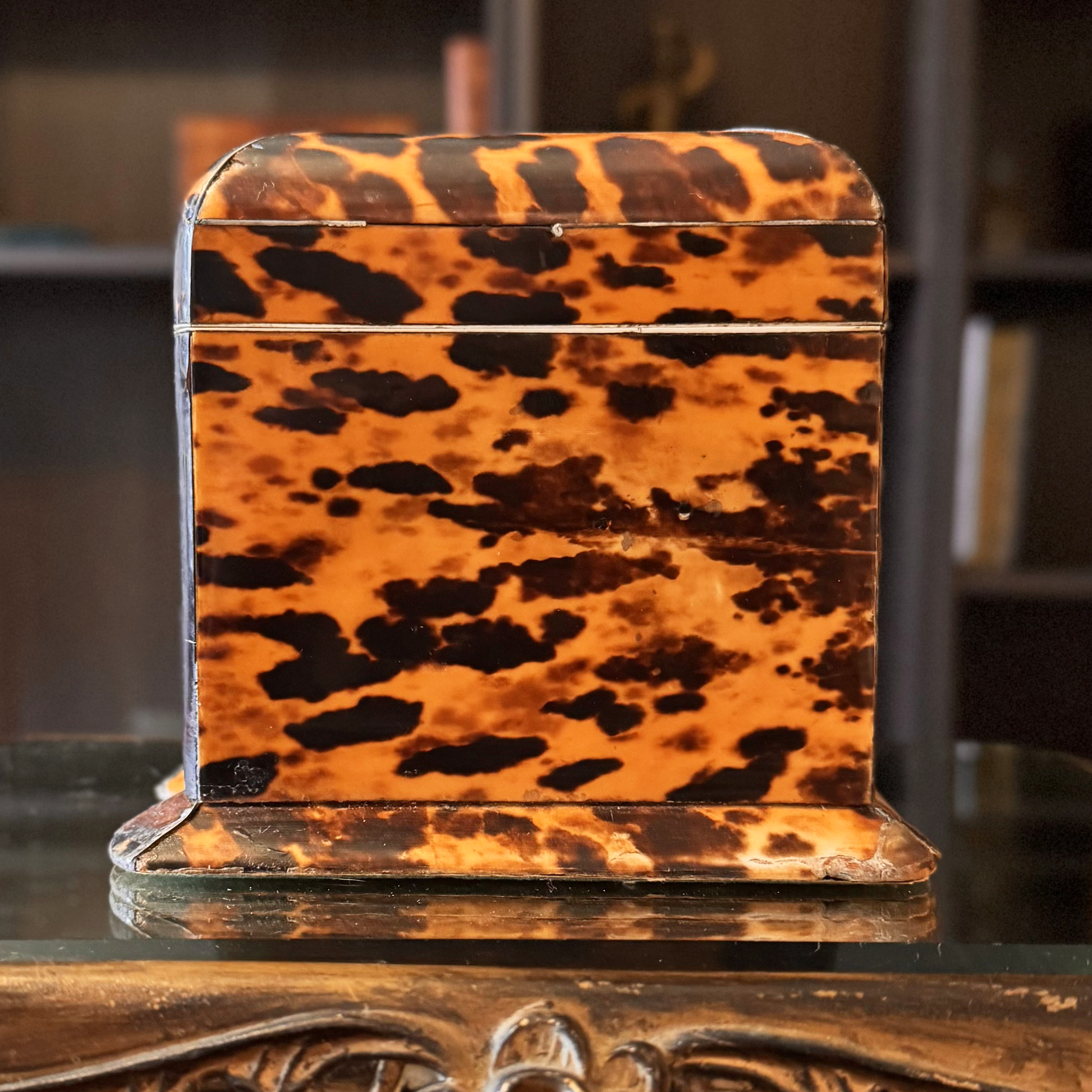 Tortoiseshell-patterned box on a reflective surface with a blurred background