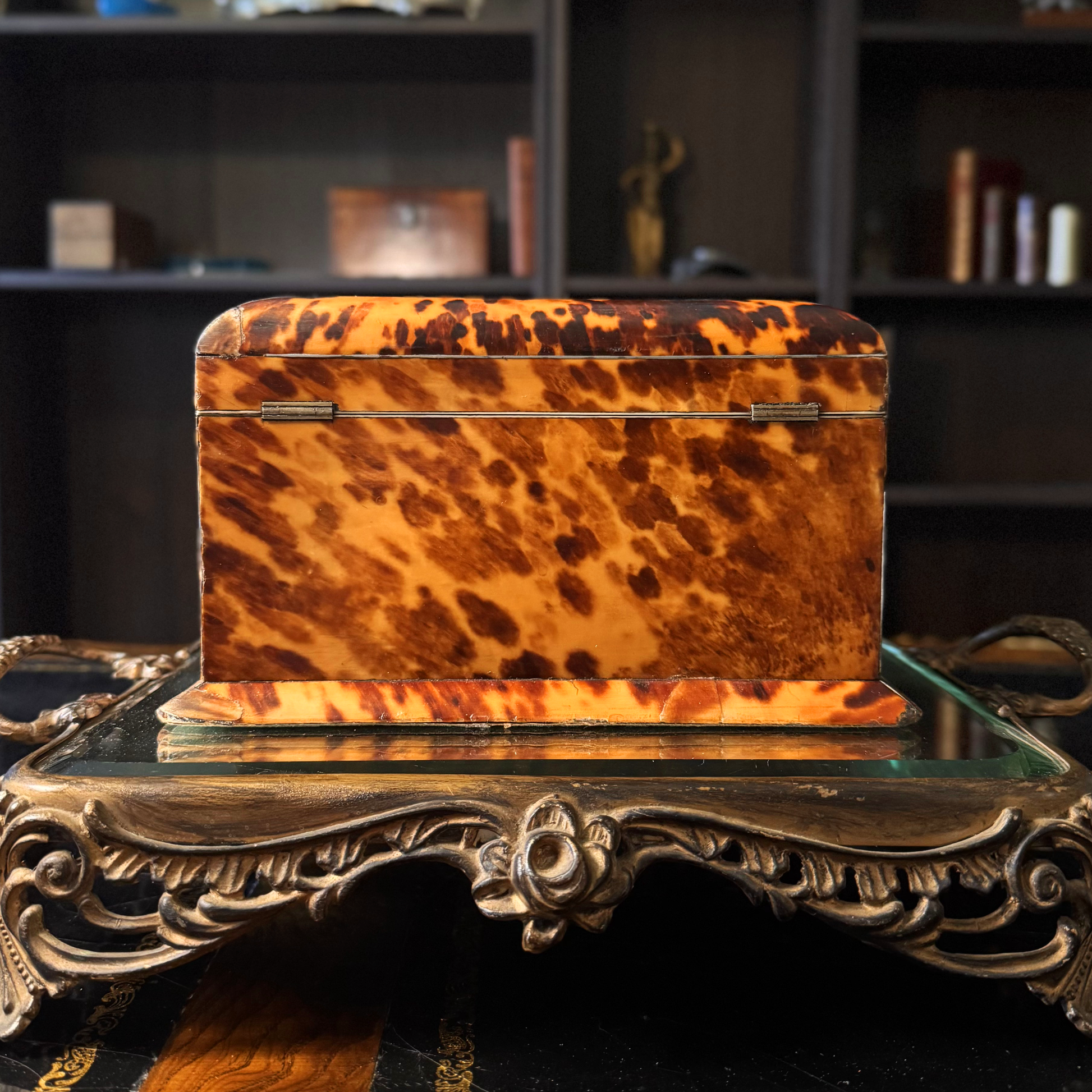 Back of Tortoiseshell box on an ornate table with a blurred bookshelf background