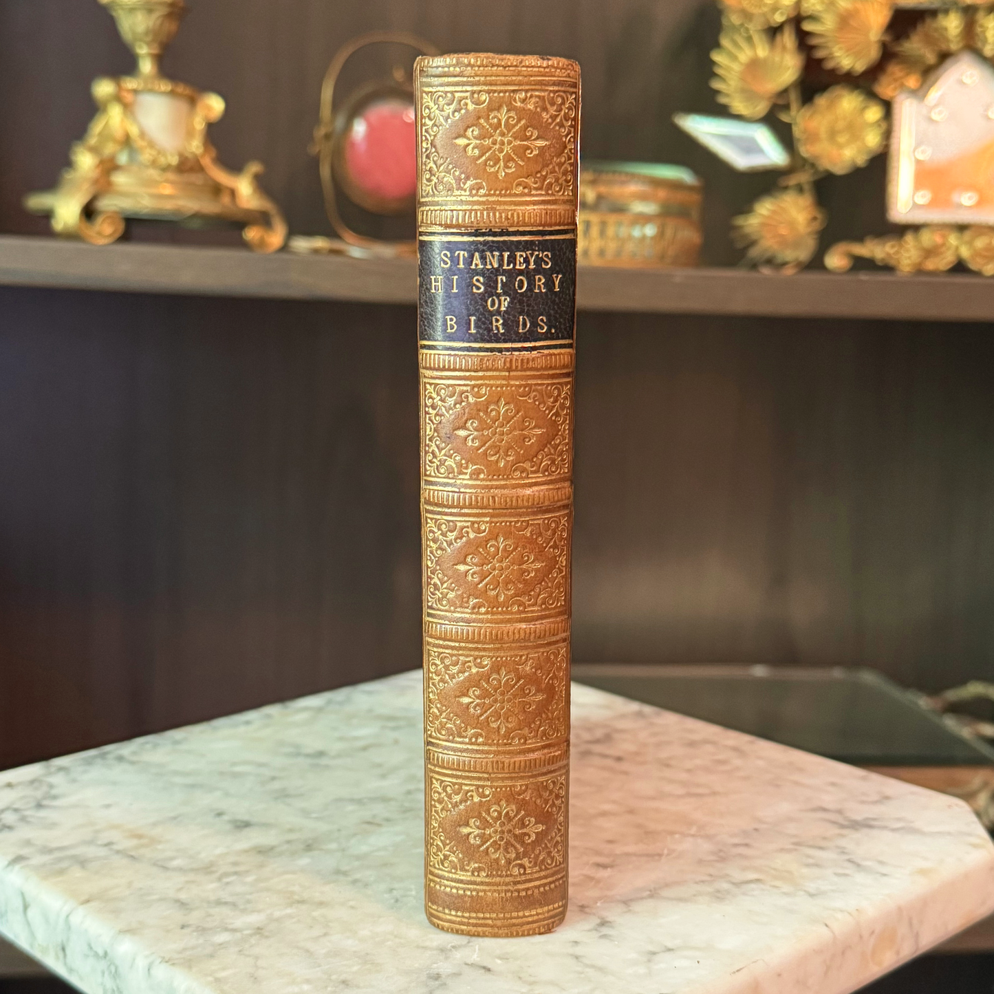 1865 A Familiar History of Birds by Edward Stanley Fine Leather Binding