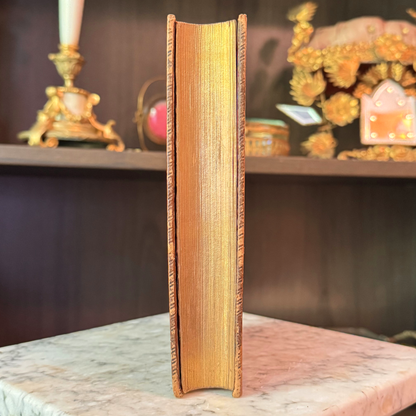 1865 A Familiar History of Birds by Edward Stanley Fine Leather Binding