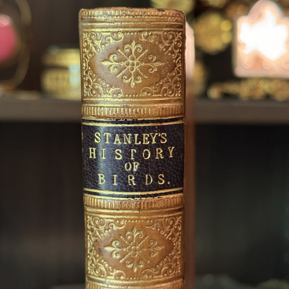 1865 A Familiar History of Birds by Edward Stanley Fine Leather Binding