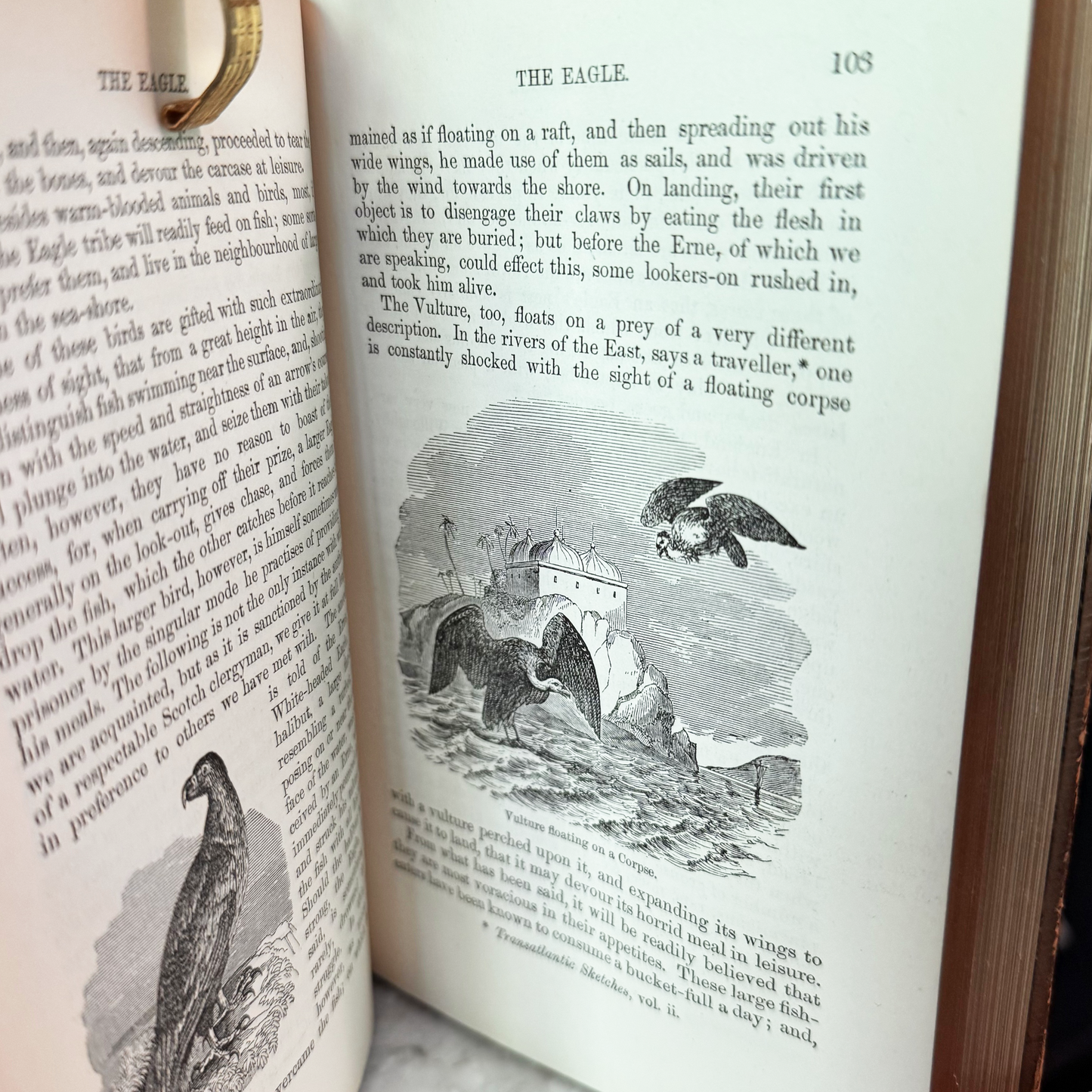 1865 A Familiar History of Birds by Edward Stanley Fine Leather Binding