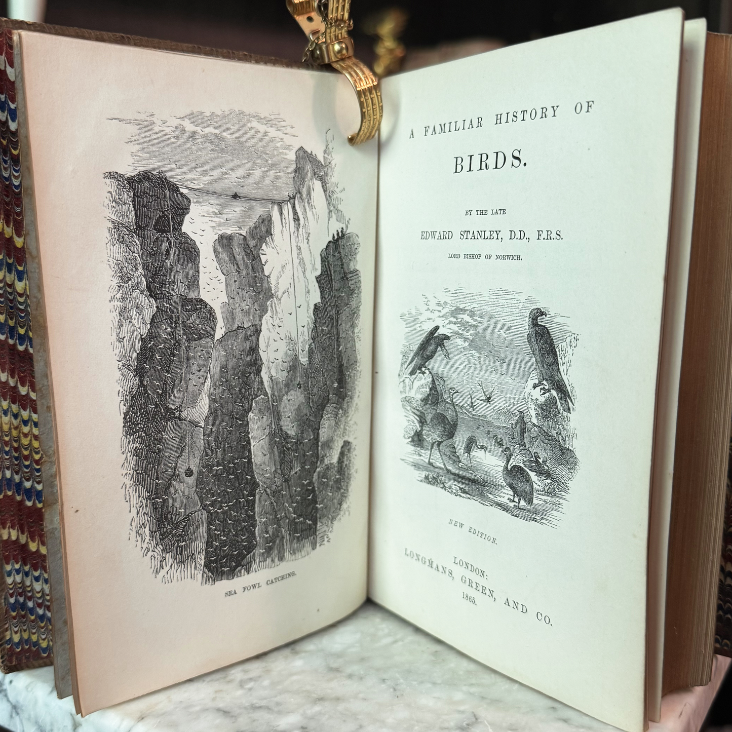 1865 A Familiar History of Birds by Edward Stanley Fine Leather Binding