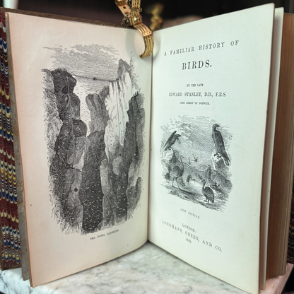 1865 A Familiar History of Birds by Edward Stanley Fine Leather Binding
