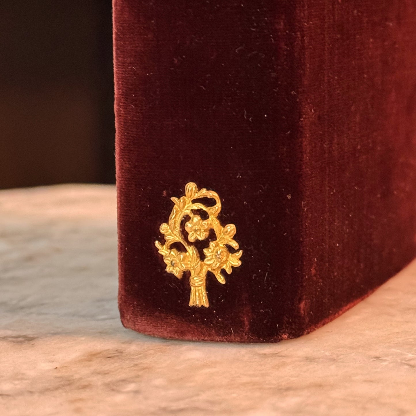 Antique French Velvet Prayer Book (Petit Paroissien) with Clasp